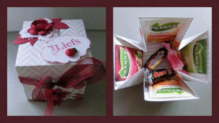 Theedoosje met 4 verschillende thee smaken € 3,50
